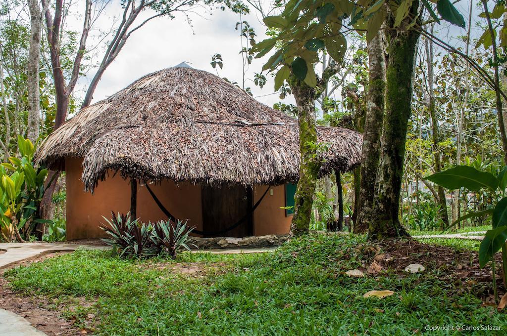 El Colombre Vila Palenque Quarto foto